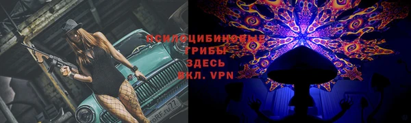 спиды Аркадак