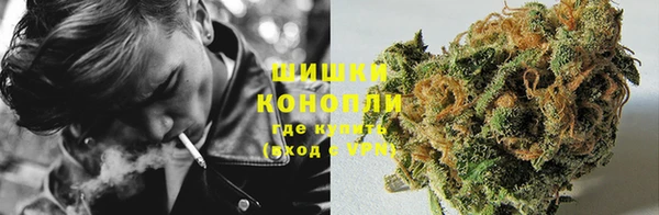 ПСИЛОЦИБИНОВЫЕ ГРИБЫ Армянск