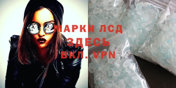 спиды Аркадак