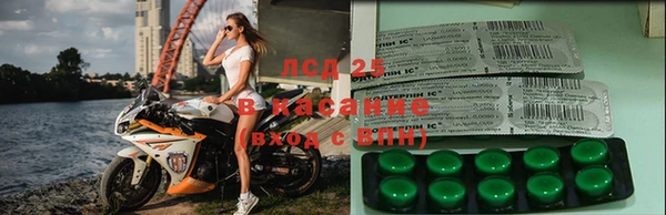 ПСИЛОЦИБИНОВЫЕ ГРИБЫ Армянск