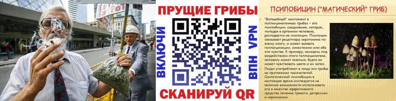 наркошоп  Светлоград  shop клад  Галлюциногенные грибы GOLDEN TEACHER 