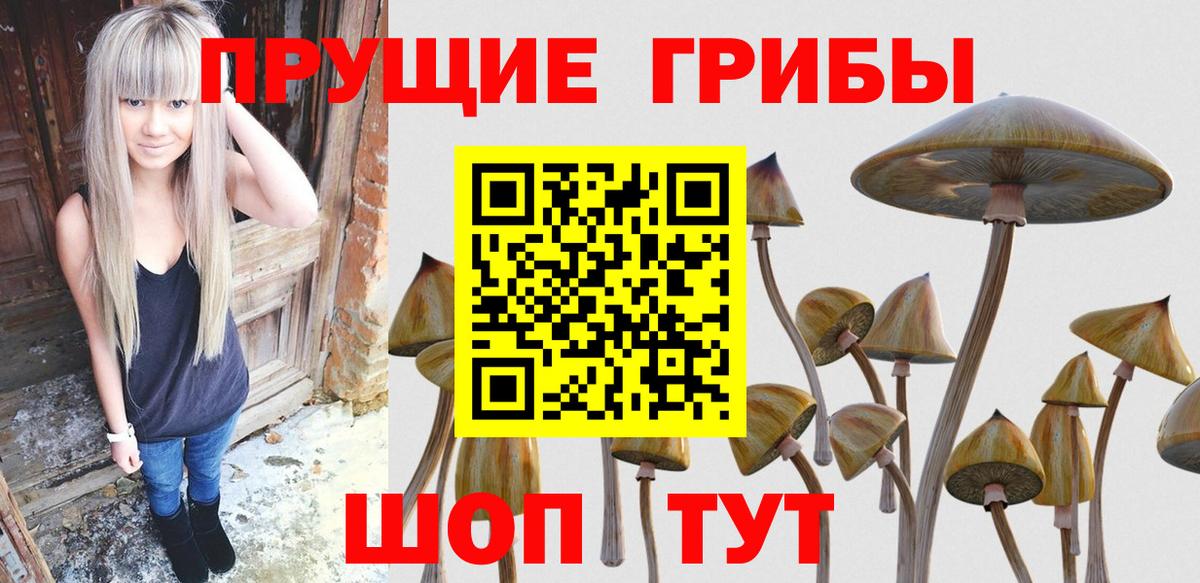 Галлюциногенные грибы мухоморы  Вход с VPN  Галлюциногенные грибы GOLDEN TEACHER  Светлоград 