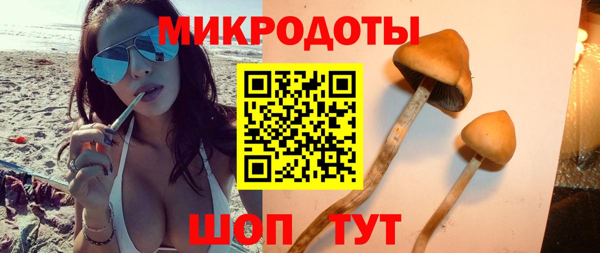Галлюциногенные грибы прущие грибы Светлоград
