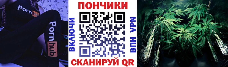 где можно купить наркотик  Светлоград  Бошки марихуана семена 